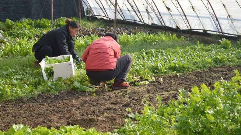 Digitalización agraria, ¿es el futuro?