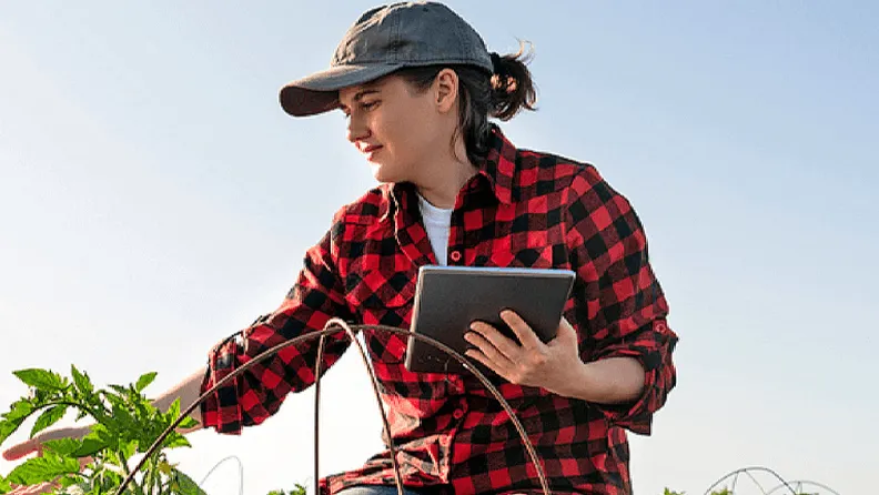 Una mujer coteja su cosecha con la información que le brinda su tableta. Efeagro/IICA