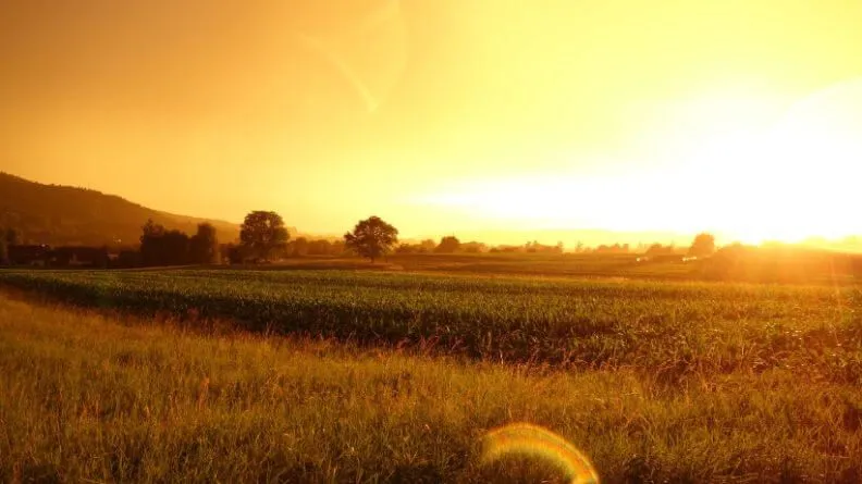 Atardecer en un campo español, imagen para representar los seguros agrarios