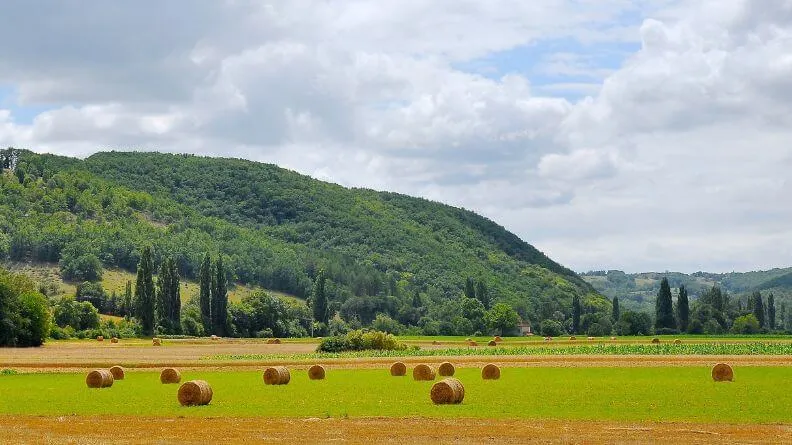 Campo y montaña, cultivos protegidos