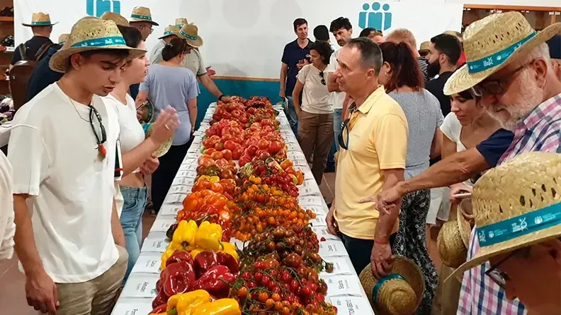 Jornada de Puertas Abiertas Paiporta 2024