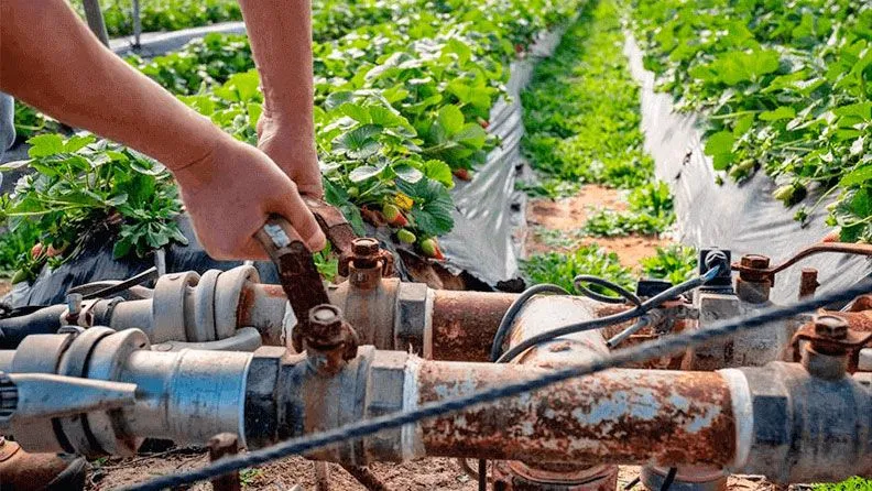 Sistema de riego en una explotación agrícola de Huelva. Efeagro/Julián Pérez