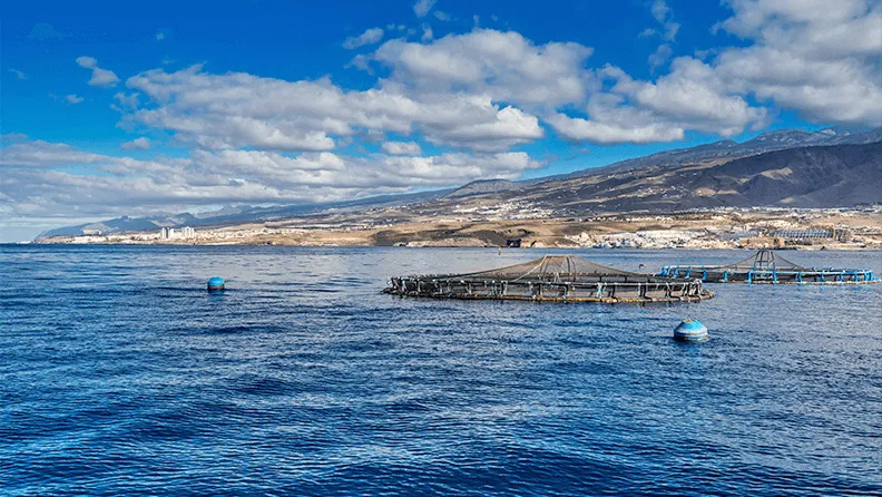 Acuicultura en Canarias