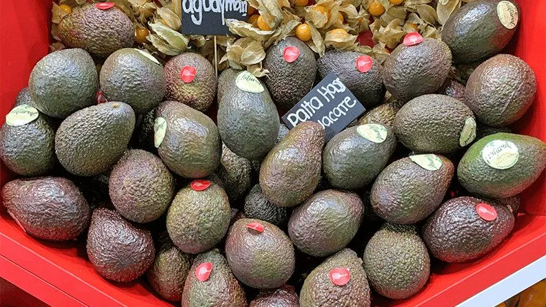 Aguacate en supermercado.