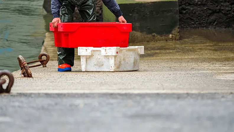 Pescador descargando cajas de pescado en un puerto de un pueblo del País Vasco.