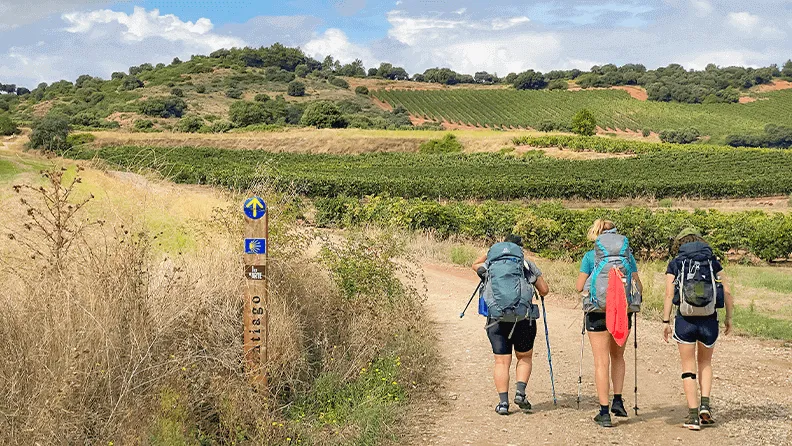 Camino de Santiago