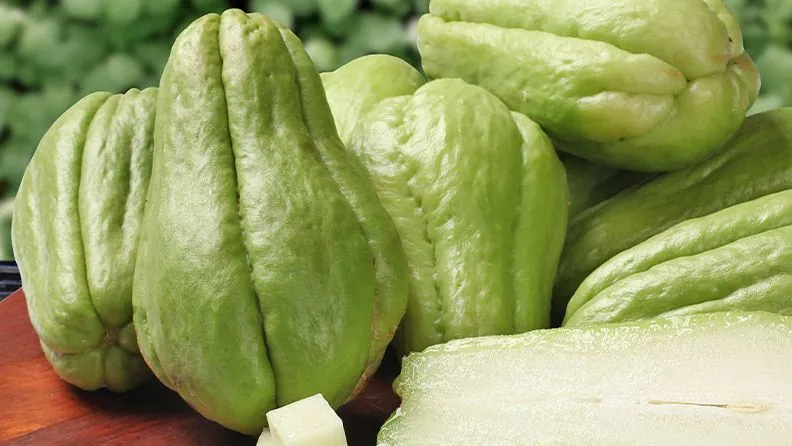 Chayote