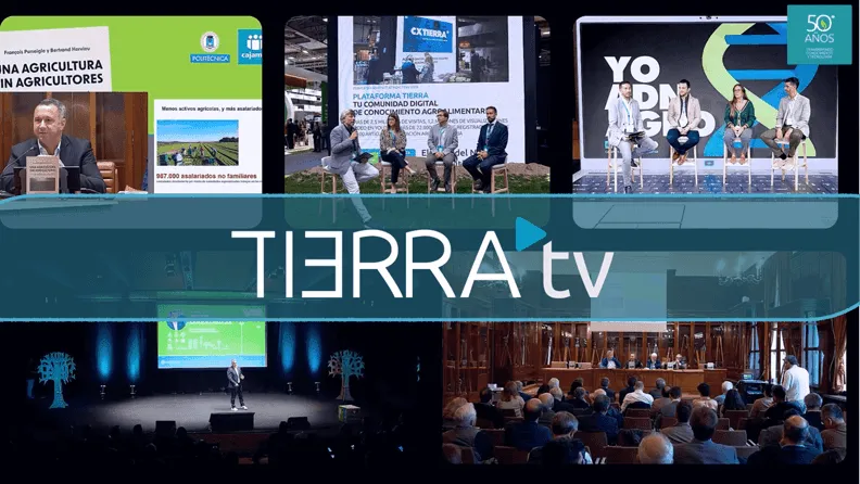 Tierra TV